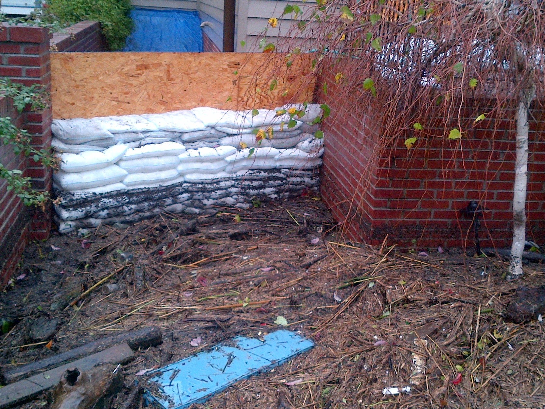 Hurricane Sandy Floodsax wall.jpg (1)