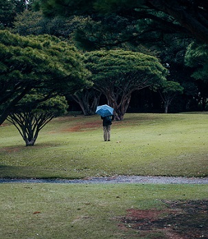 A rain-lashed golf course.  Photo by Sebastian Hages on Unsplash.